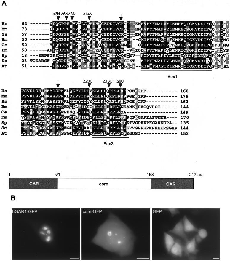 FIG. 7