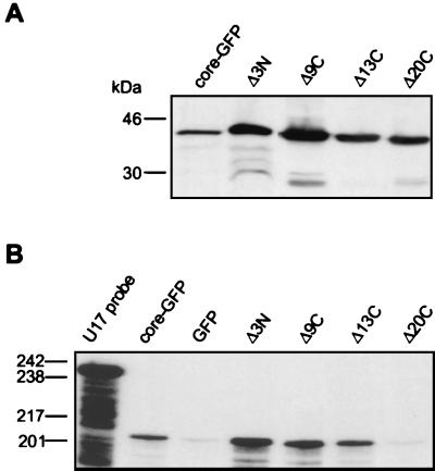 FIG. 9