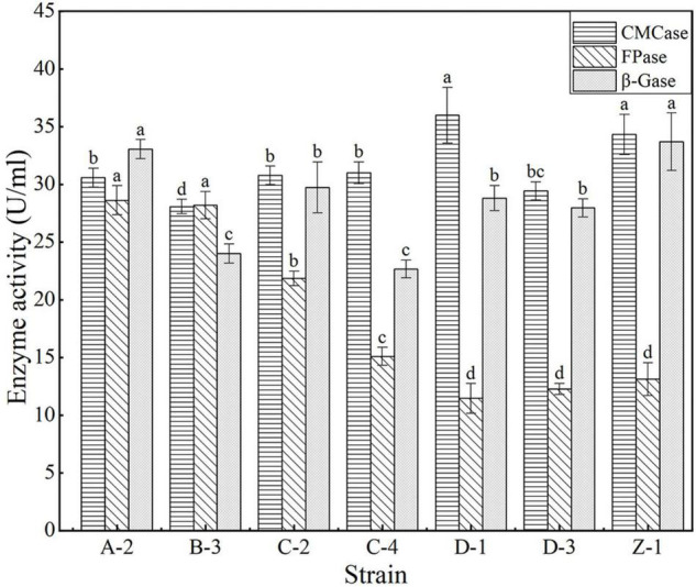 FIGURE 3