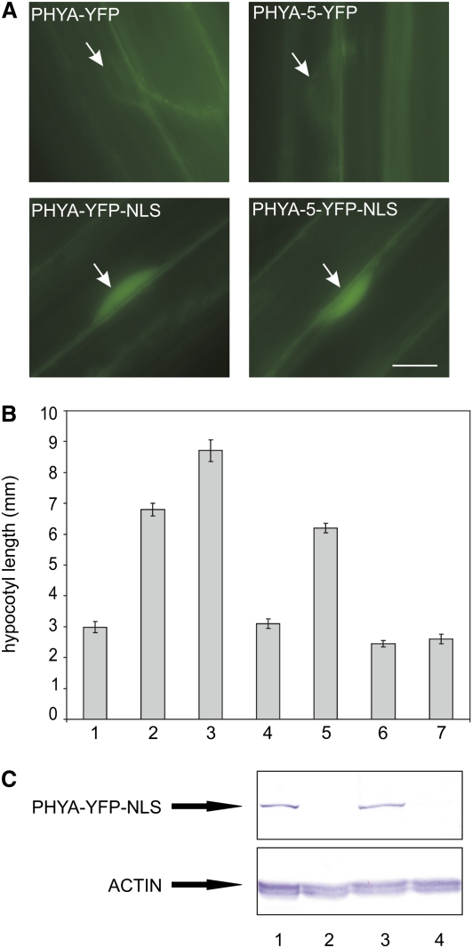 Figure 7.