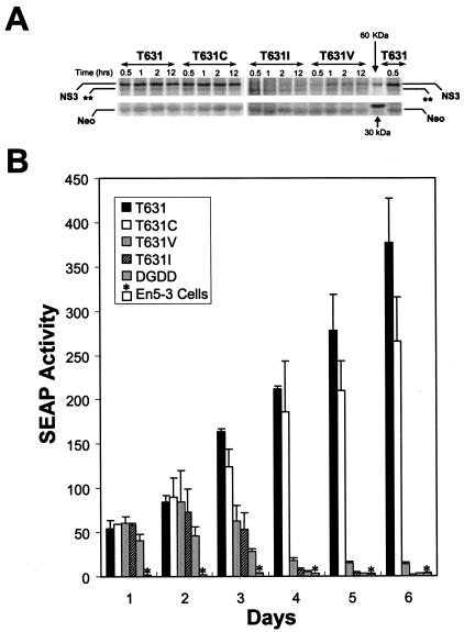 FIG. 6.