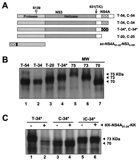 FIG. 1.