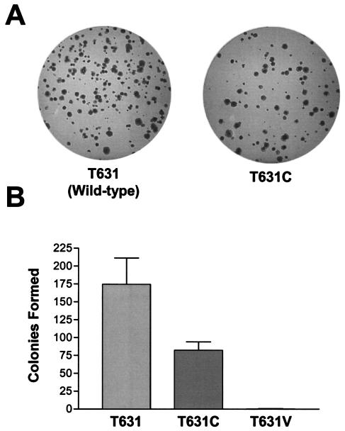 FIG. 5.