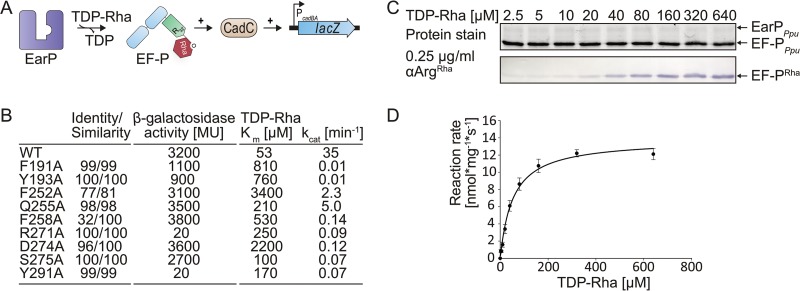 FIG 5 