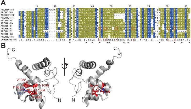 Fig 3