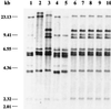 FIG. 1