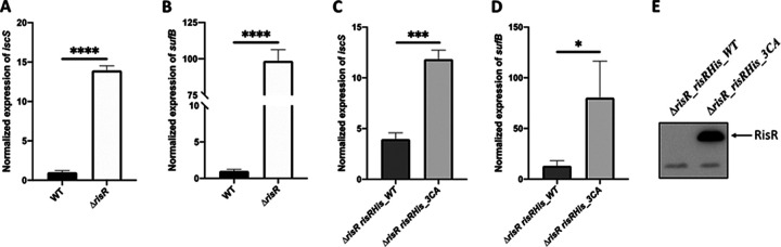 FIG 3