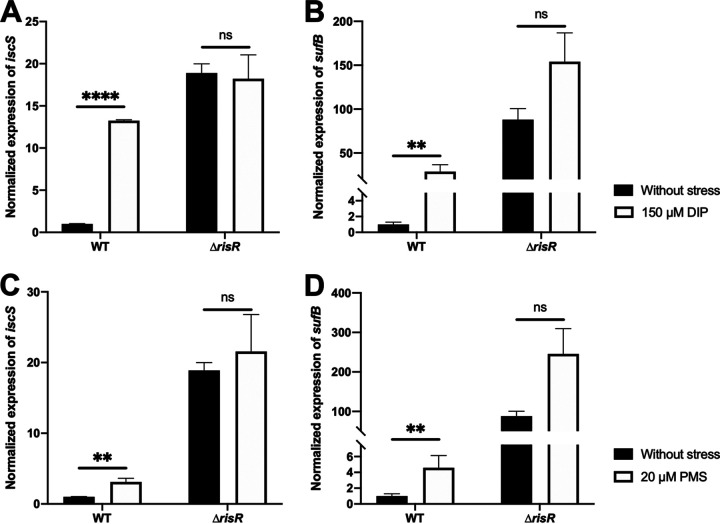 FIG 6