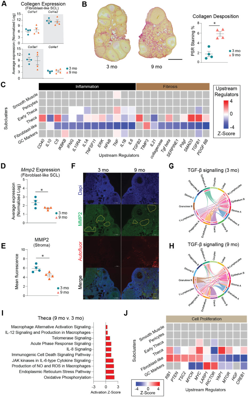 Fig 6: