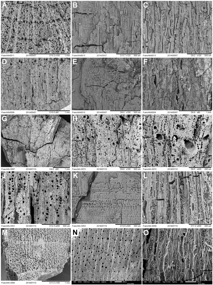 Fig 16