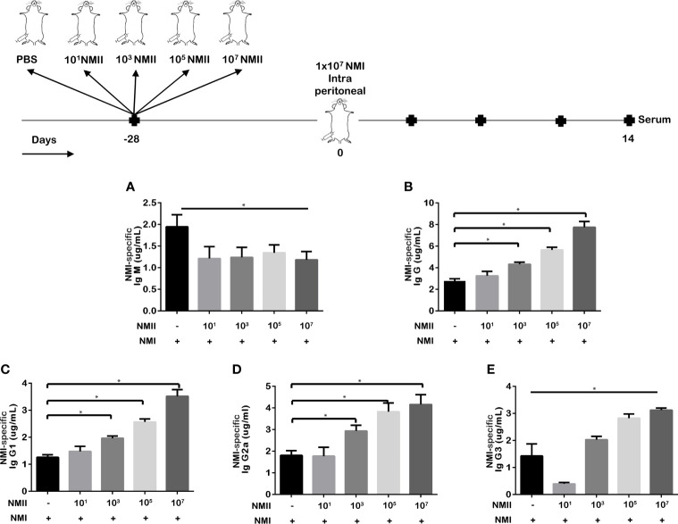 Figure 4