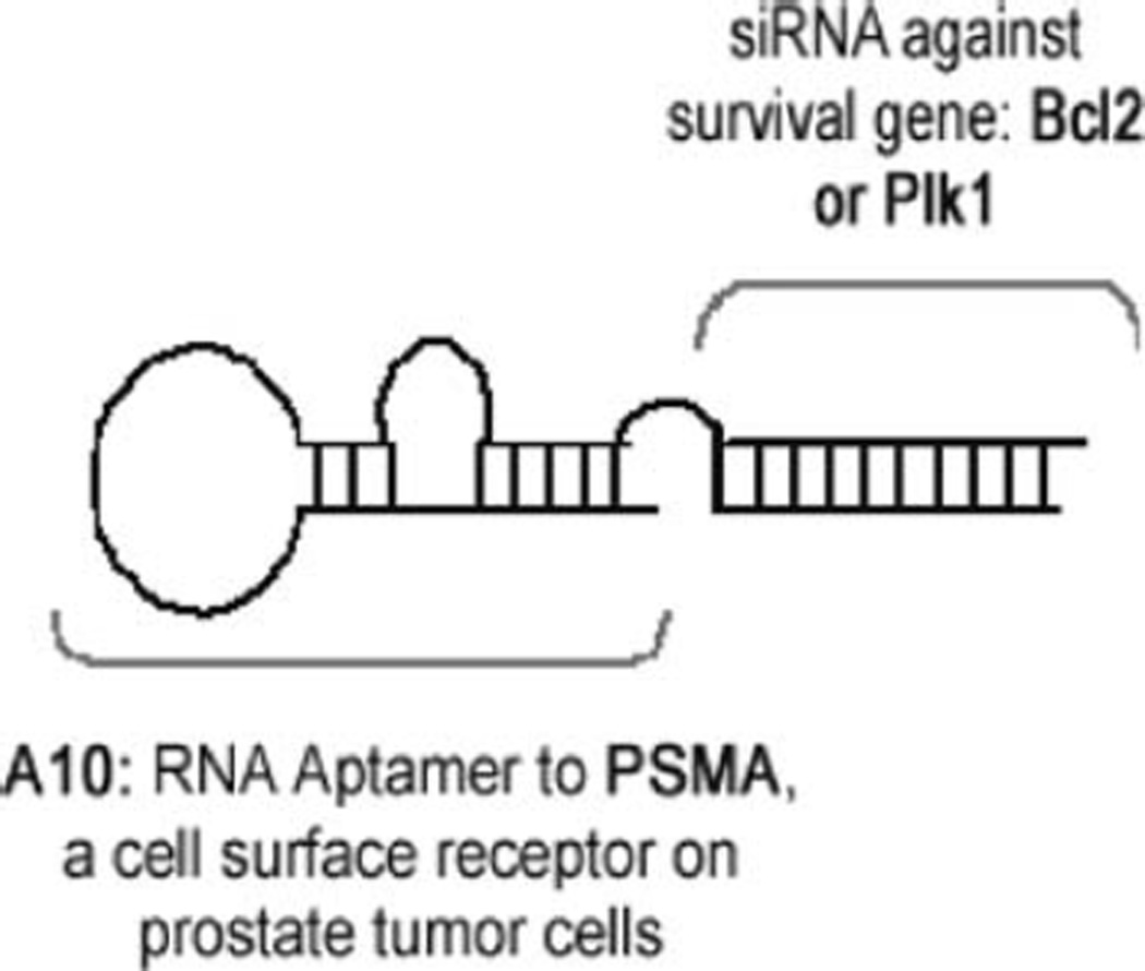 Fig. 5.2