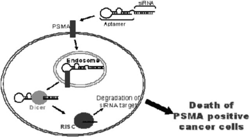 Fig. 5.3