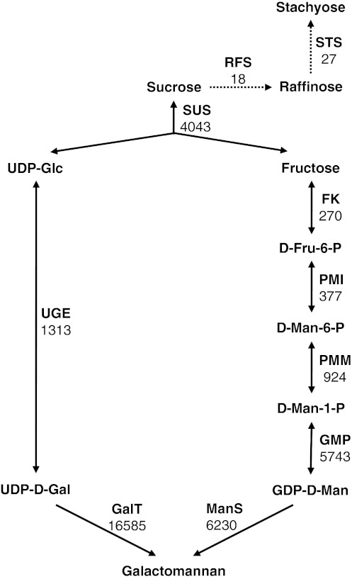 Fig. 3