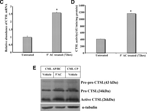 Fig 5