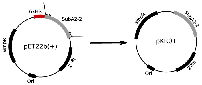 Figure 9