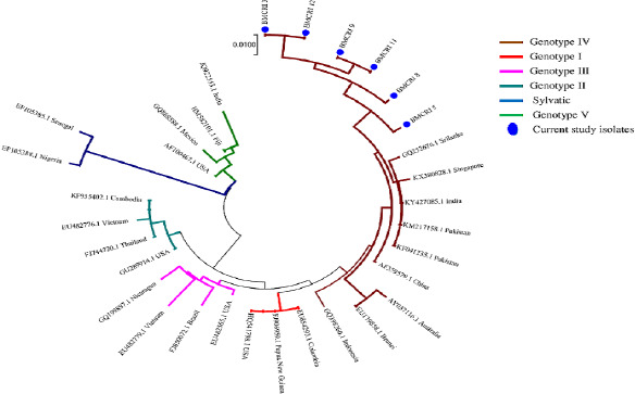 Figure 4: