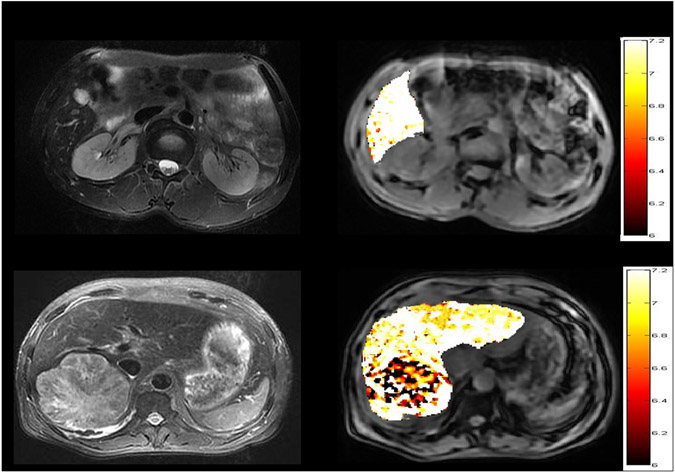 Fig. 6.