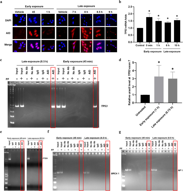 Fig 6