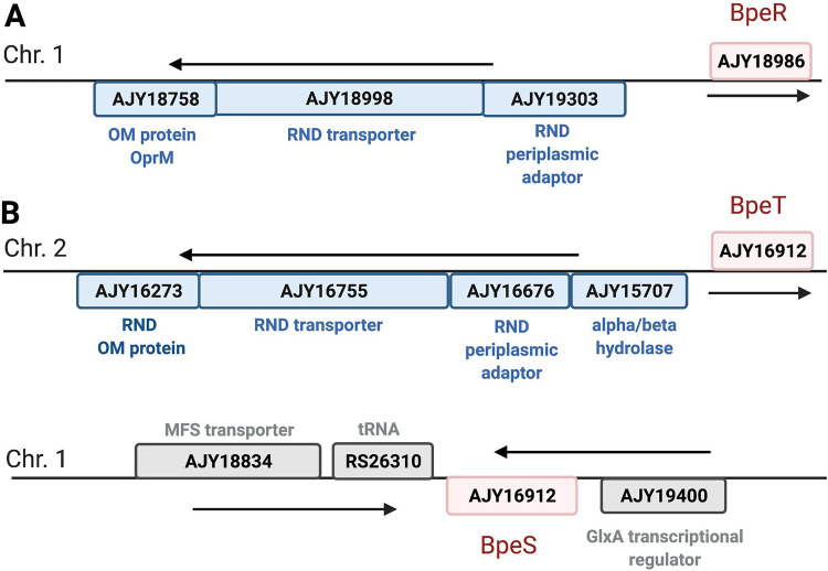 FIG 2