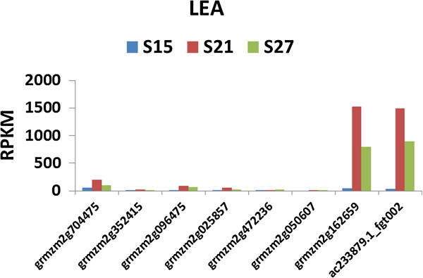 Figure 13