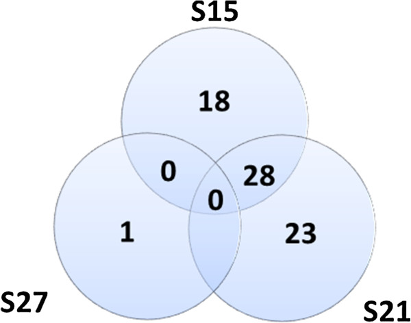 Figure 14