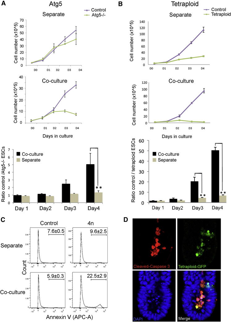 Figure 4