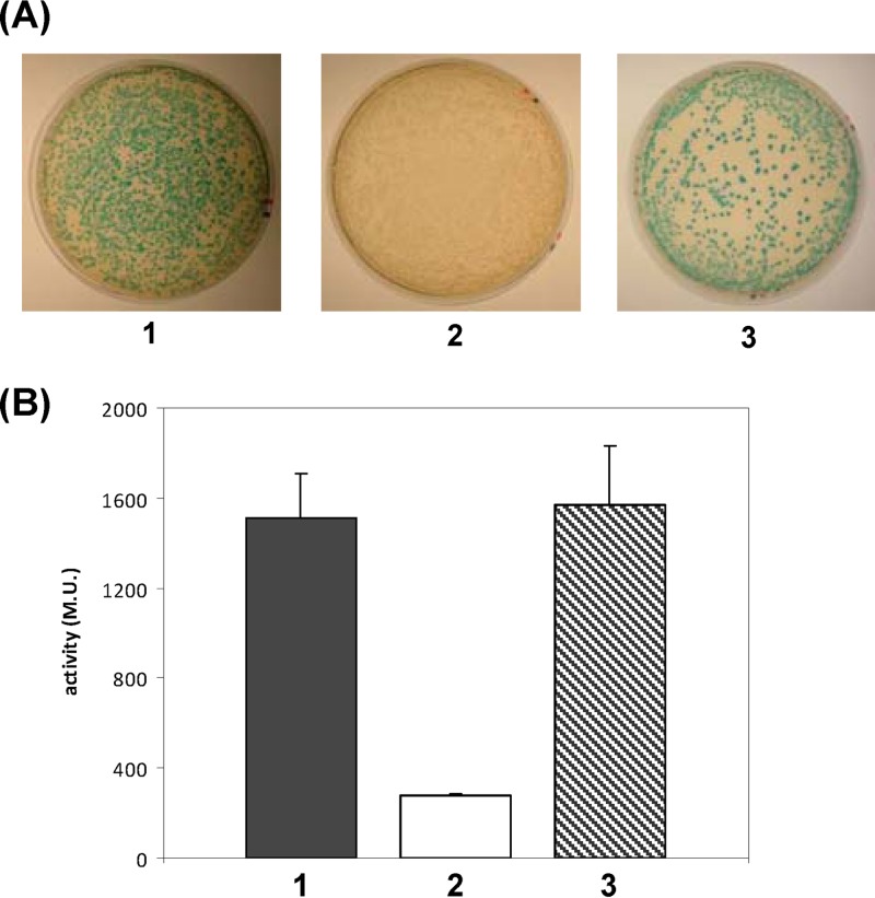 Fig 5