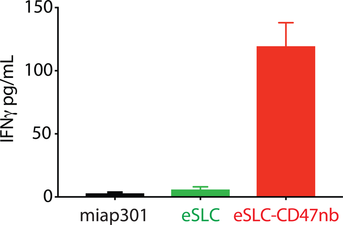 Extended Data Figure 7 |