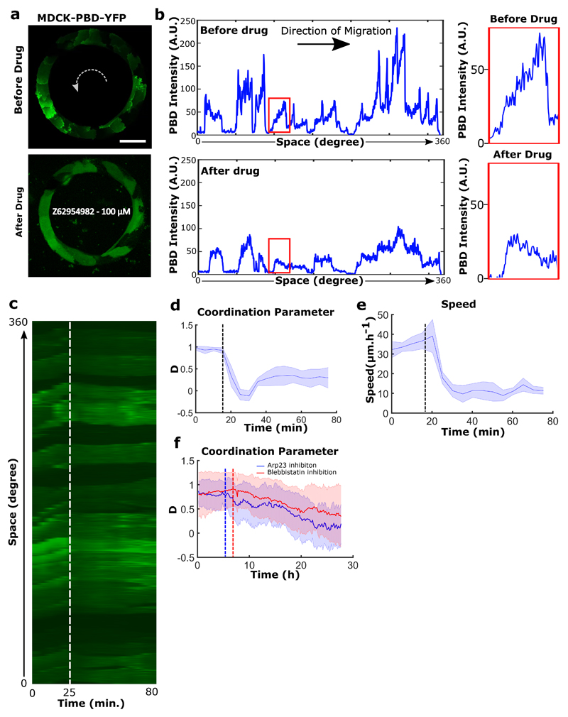 Extended Data Figure 6