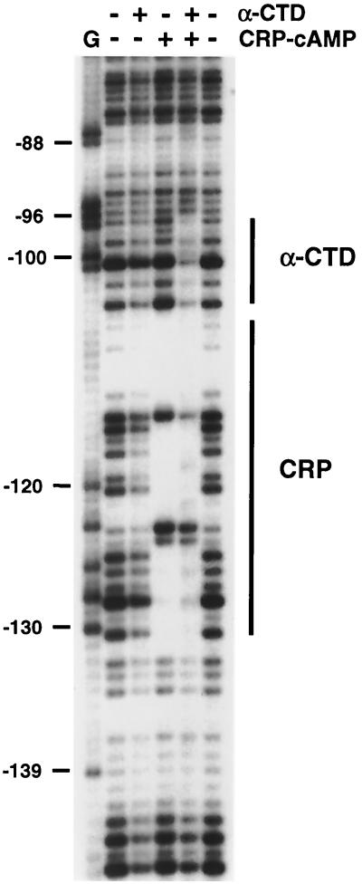 FIG. 7