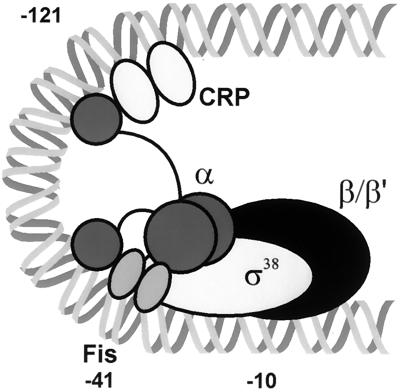 FIG. 10