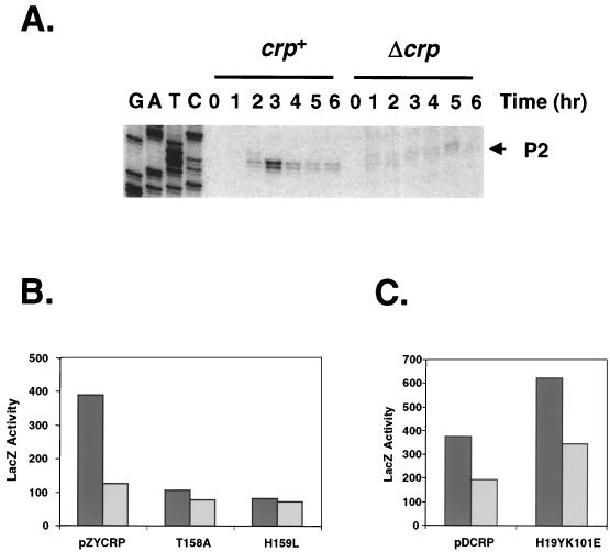 FIG. 6