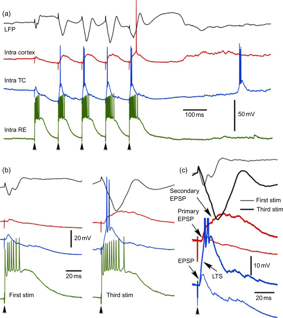 Fig. 3