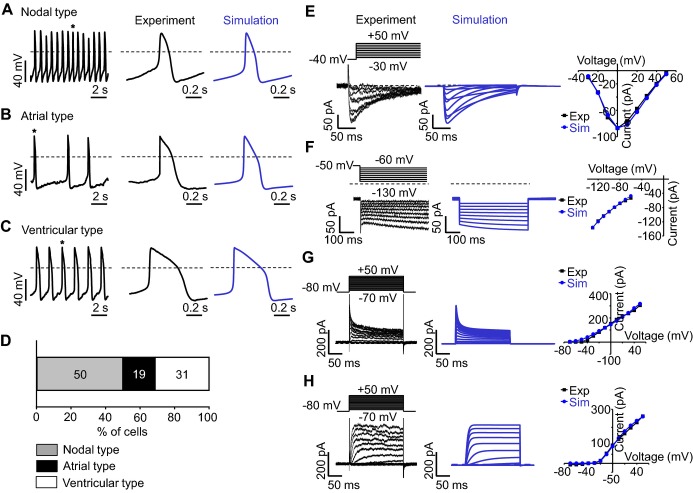 Figure 10.