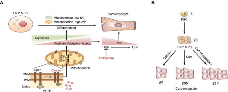 Figure 12.