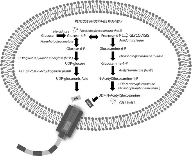 Fig. 3