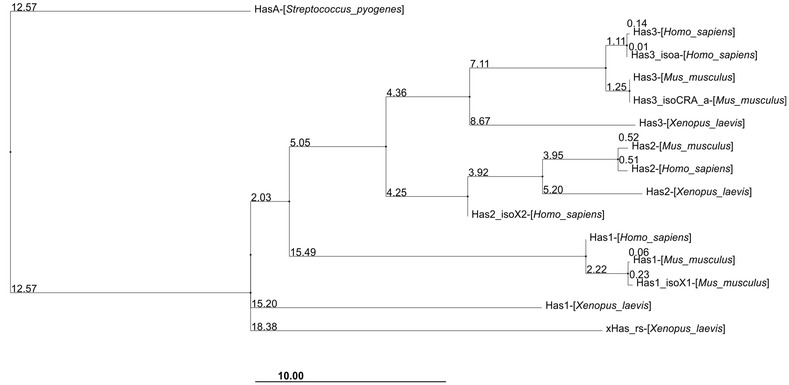 Fig. 4