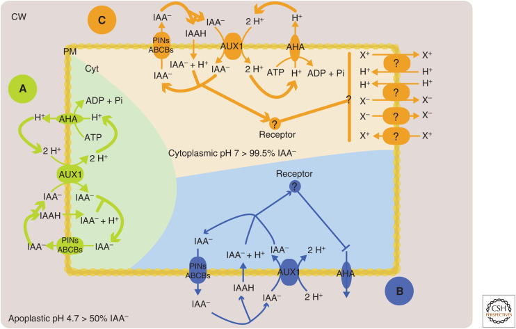 Figure 1.