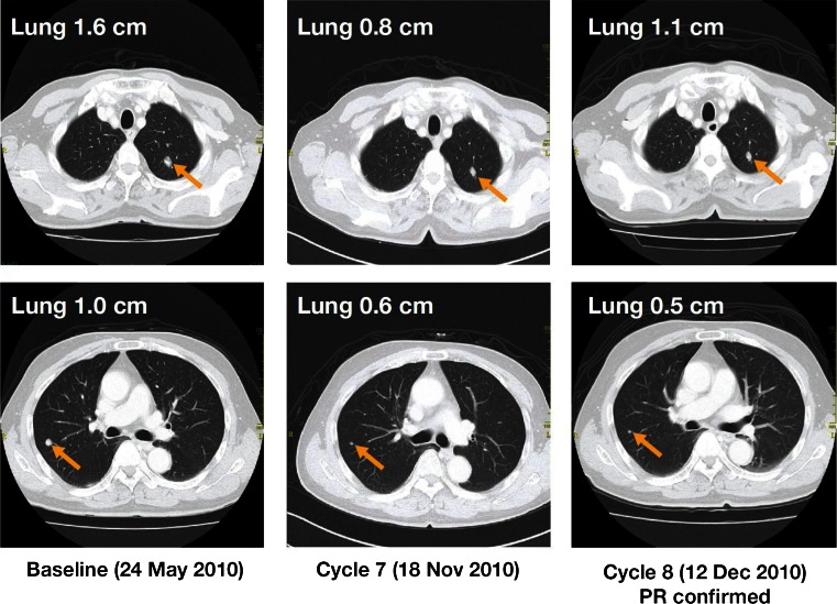 Fig. 3