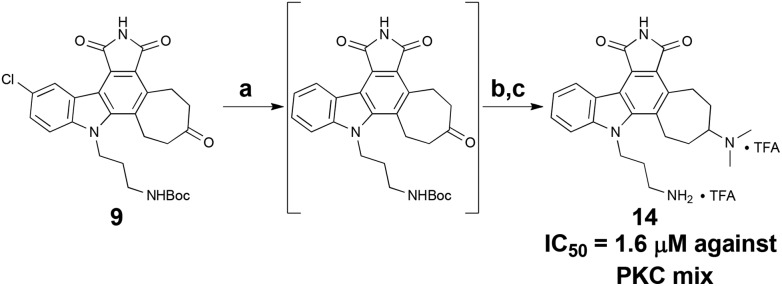 Scheme 5