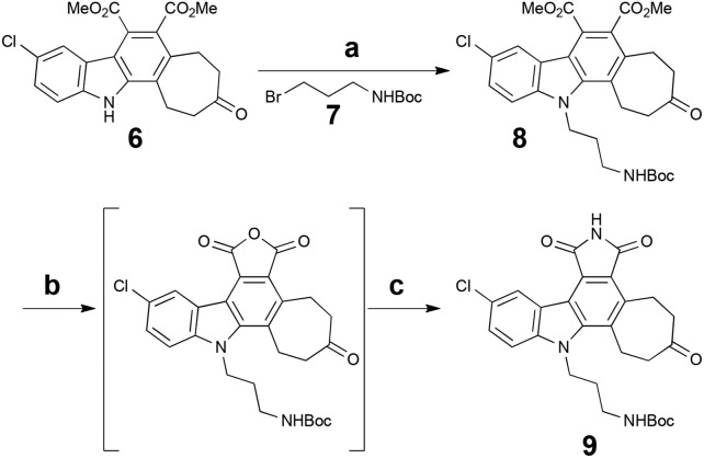 Scheme 3