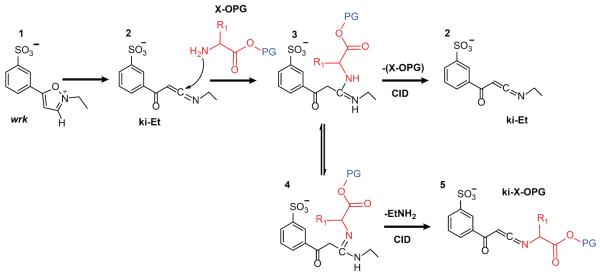 Scheme 1