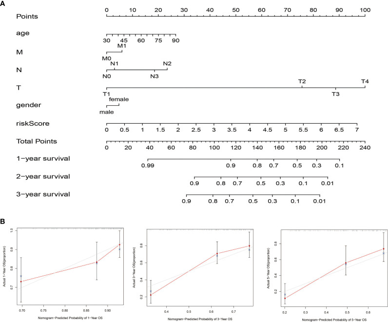 Figure 7