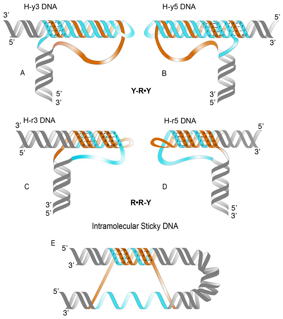 Figure 1: