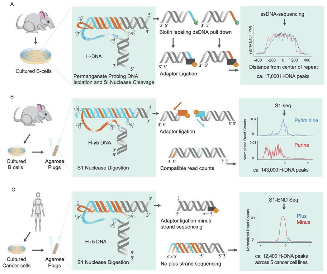 Figure 2: