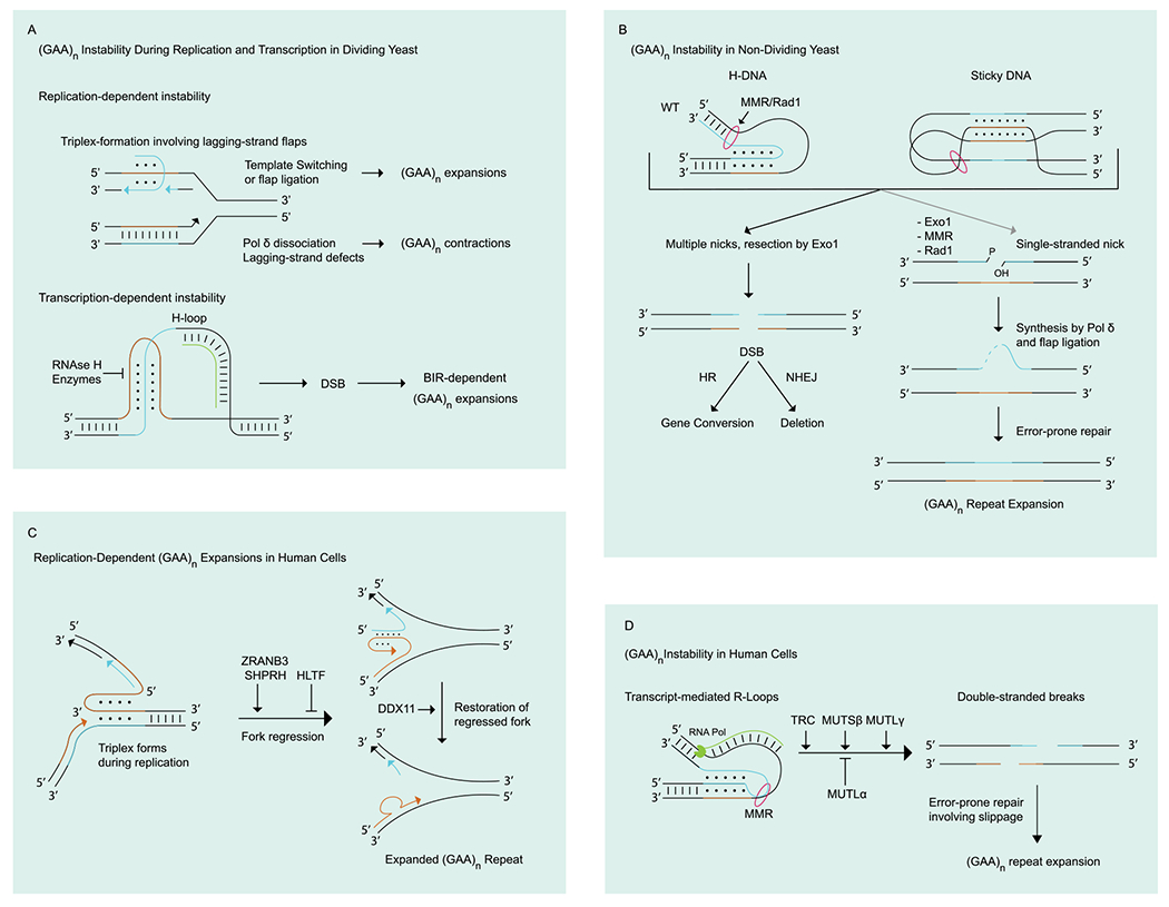 Figure 3: