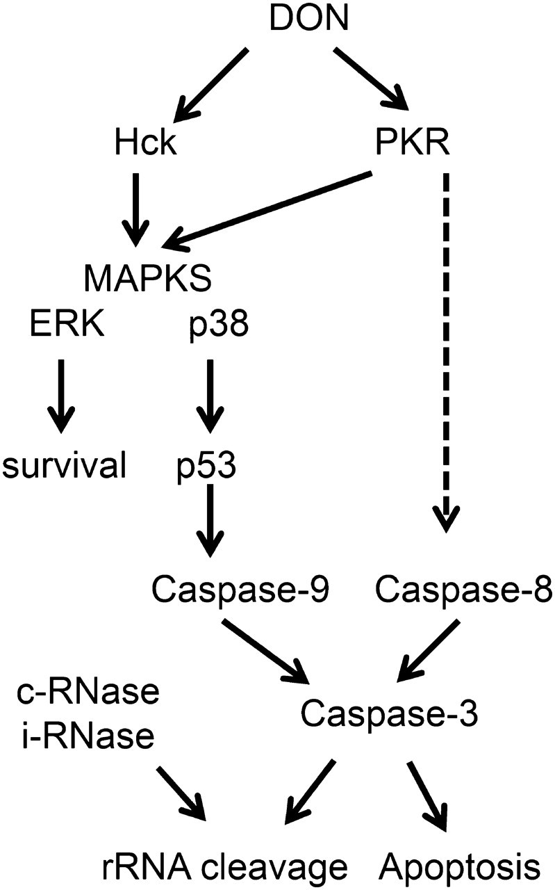 FIG. 9.