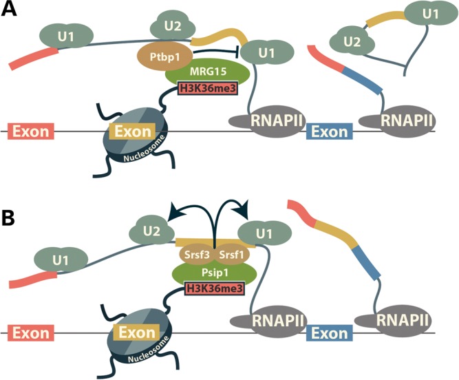 Figure 4.