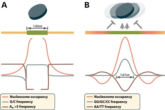 Figure 1.